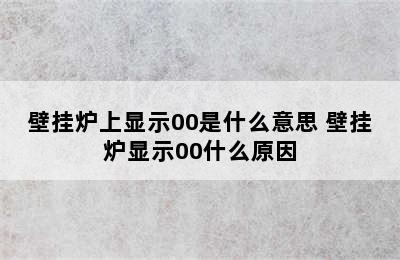 壁挂炉上显示00是什么意思 壁挂炉显示00什么原因